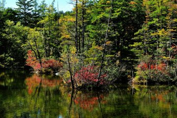<p>ใบไม้บนต้นไม้ในทะเลสาบเมียวจิน (Myojin) เปลี่ยนสีกันแล้ว</p>